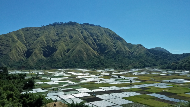 Rinjani