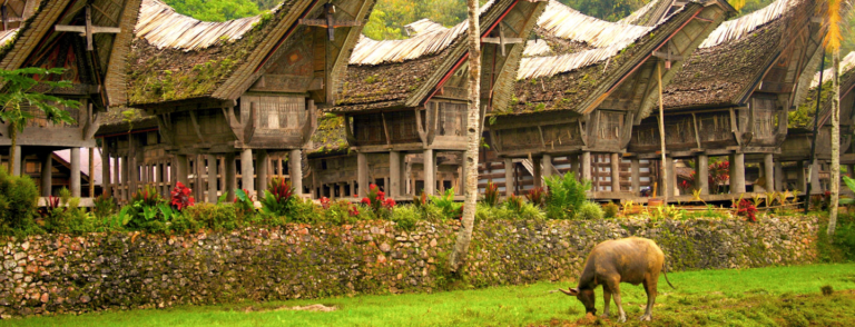 Tana Toraja