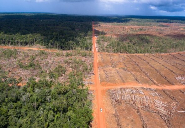 original_45hutan-merauke