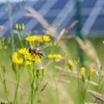 SolarPower