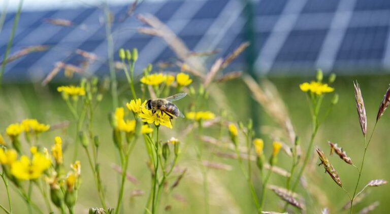 SolarPower