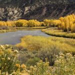 Conservancy