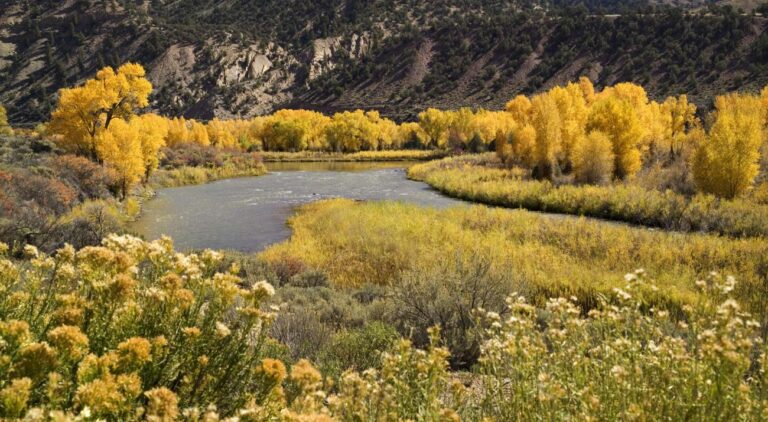 Conservancy